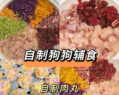 狗的蔬菜丸子怎么做好吃？有哪些健康又美味的制作方法？