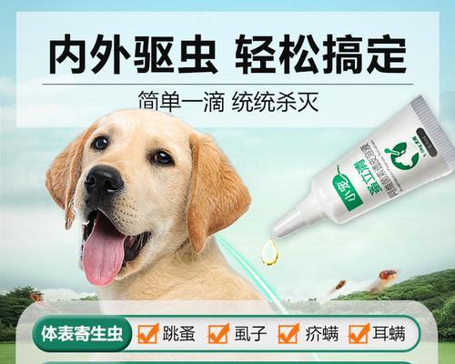 狗狗吃了打虫药后拉虫正常吗？需要采取什么措施？