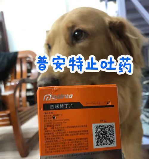 狗狗肠炎症状如何应对？哪种药物治疗最有效？