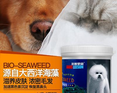 狗狗海藻粉吃多了怎么办？如何调整喂食量和频率？