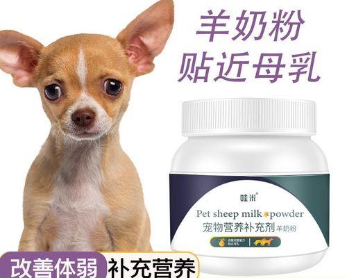 狗狗喝羊奶还需要喝水吗？补充水分的必要性解析