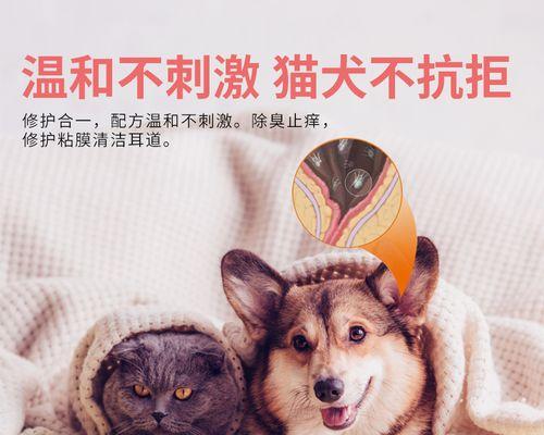 狗狗老摇耳朵是怎么回事？可能是这些原因导致的