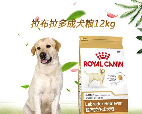 成犬狗粮选择指南：哪些食物适合狗狗食用？