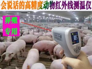 狗狗适合什么样的温度计？如何为宠物选择合适的温度测量工具？