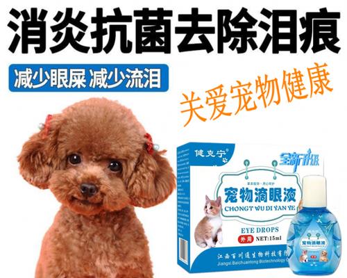 两个月幼犬出现泪痕怎么办？有效解决方法有哪些？