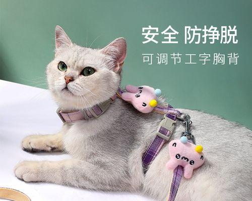 猫生小猫不吃东西怎么办？如何正确喂养新生小猫？