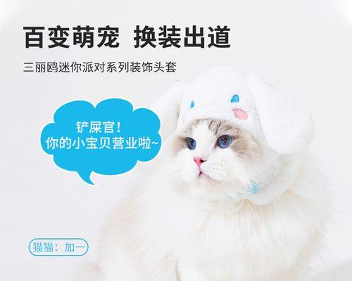 猫生小猫后小猫不幸去世怎么办？如何预防和处理？