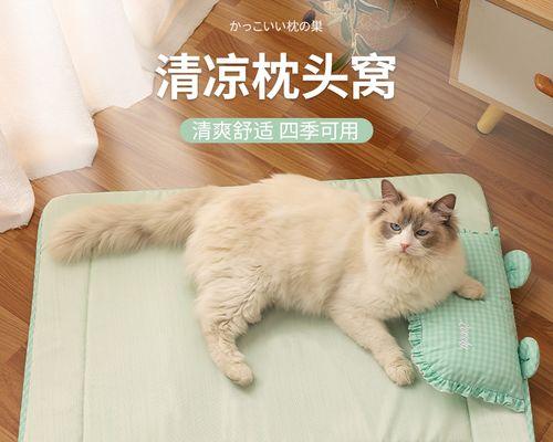 猫咪成长期需要吃什么药？如何正确选择猫咪成长期的药物？