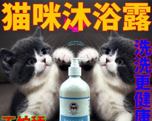 猫咪用药大全？如何正确选择和使用猫咪药物？