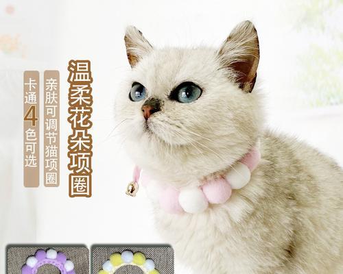 猫咪脖圈编织教程有哪些？如何选择适合的材料？