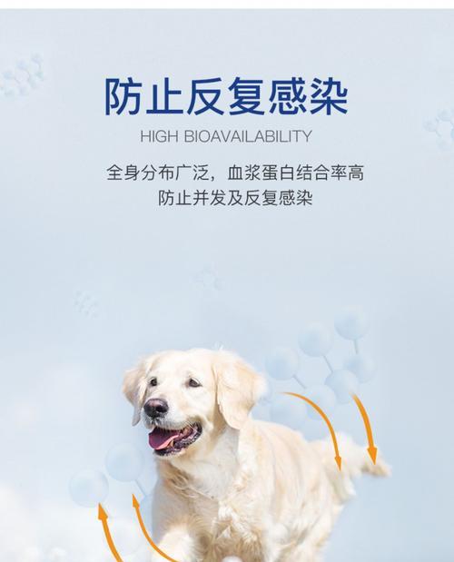 猫咪喉咙咳嗽吃什么药好？如何正确选择治疗药物？