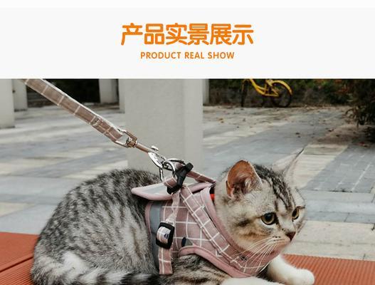 猫咪肩带式牵引绳怎么带？正确使用方法是什么？