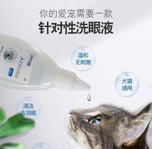 猫咪可以用的人的眼药水吗？使用时应注意哪些问题？