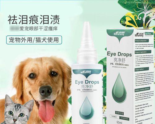 猫咪可以用的人的眼药水吗？使用时应注意哪些问题？