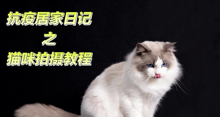 猫咪可以使用史克肠虫清吗？使用方法和注意事项是什么？