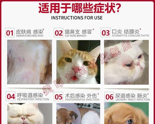 猫咪气喘咳嗽吃什么药好？如何正确选择治疗药物？