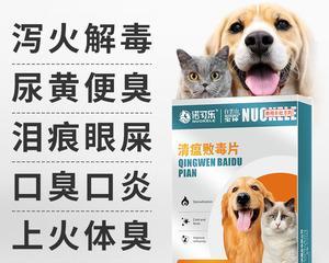 猫咪气喘咳嗽吃什么药好？如何正确选择治疗药物？