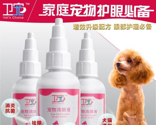 猫咪杀菌眼药水怎么用？使用过程中常见问题有哪些？