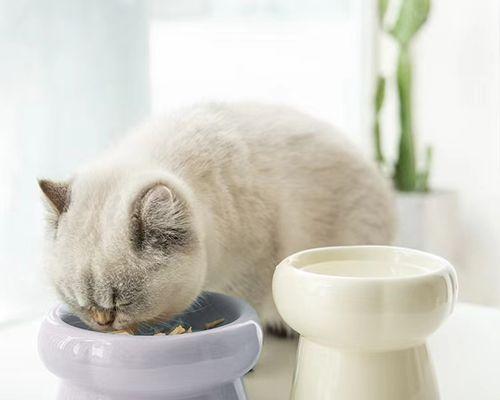 猫咪生过小猫后应该吃什么食物？有哪些营养建议？