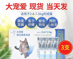 猫咪体内驱虫药的最佳使用时间是什么时候？