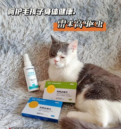 猫咪体外驱虫应该涂在哪里？正确部位和步骤是什么？