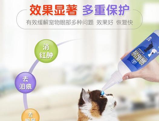 猫咪洗眼液怎么用？使用过程中常见问题有哪些？