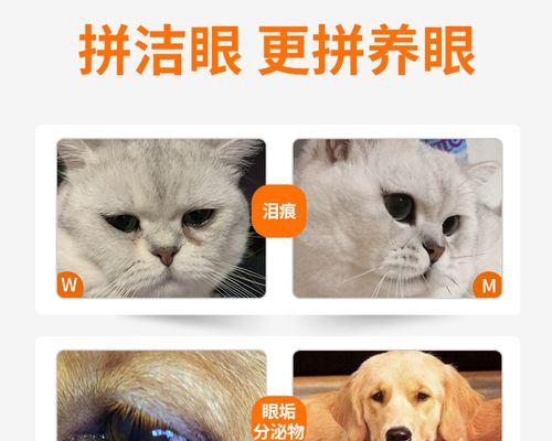 猫咪眼药水的有效期是多久？如何正确使用和储存？