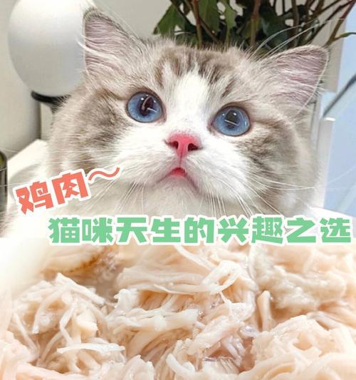 猫咪一天吃两顿饭可以么？这种喂食方式对健康有影响吗？