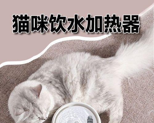 猫咪一天排便多少次算正常？如何判断猫咪排便健康？