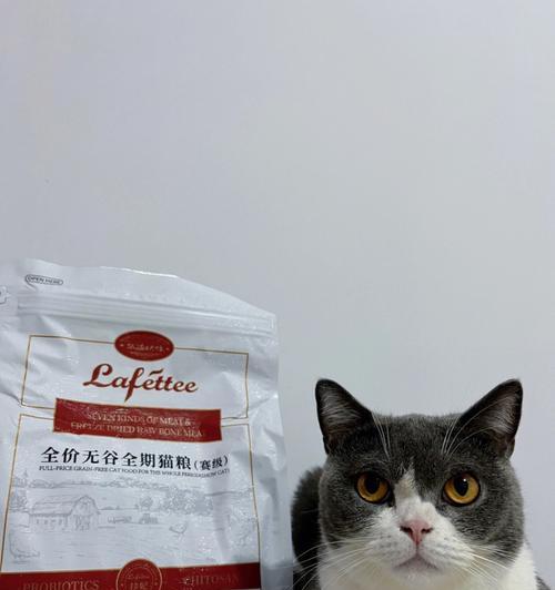 没有买猫粮给小猫吃什么？适合小猫的替代食物有哪些？