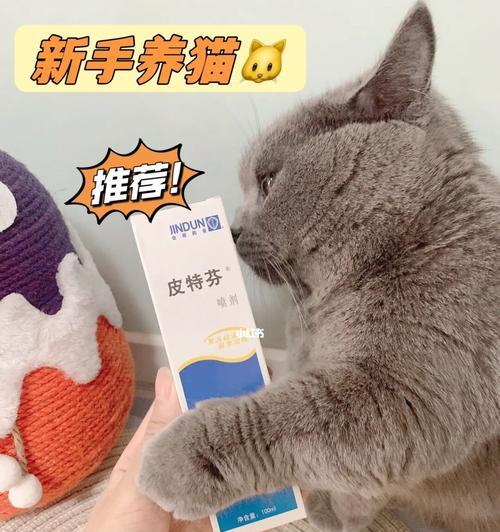 皮特芬擦猫咪脸上安全吗？使用方法和注意事项是什么？