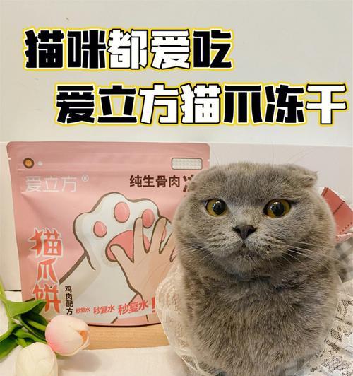 庆大霉素给小猫咪吃的方法是什么？使用时需要注意什么？