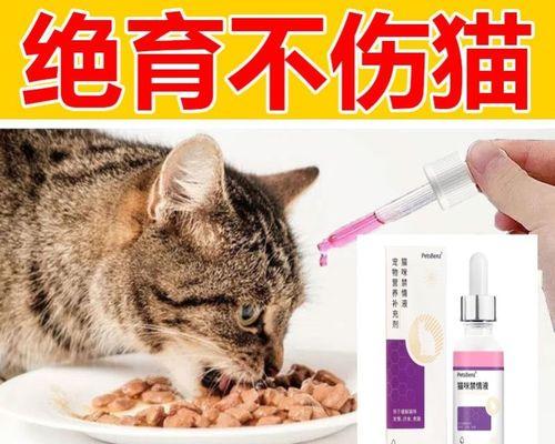 生产后猫咪怎样知道怀孕？有哪些迹象表明母猫怀孕了？