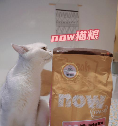 什么形状的猫粮更受猫咪欢迎？选择适口猫粮的技巧是什么？