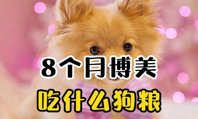 博美犬的理想狗粮是什么？如何选择适合博美的狗粮品牌？