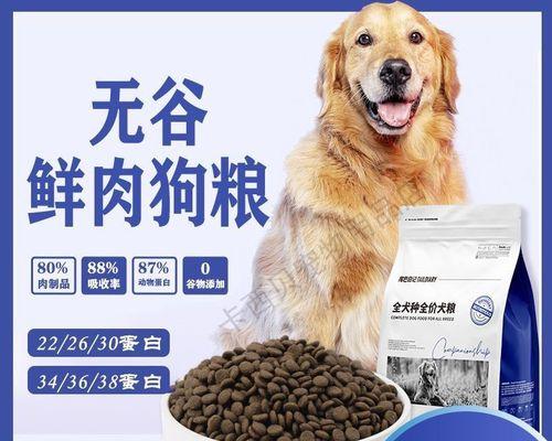 小狗除了狗粮还应该吃什么？有哪些健康食品推荐？