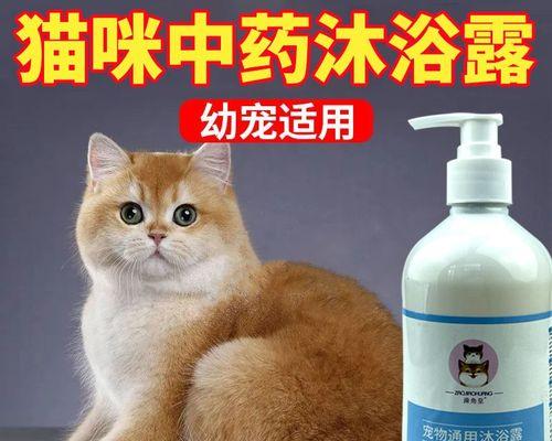 小猫3个月大可以洗澡吗？洗澡的正确时机和方法是什么？