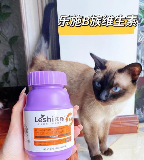 小猫需要补充维生素B吗？维生素B对小猫有哪些好处？