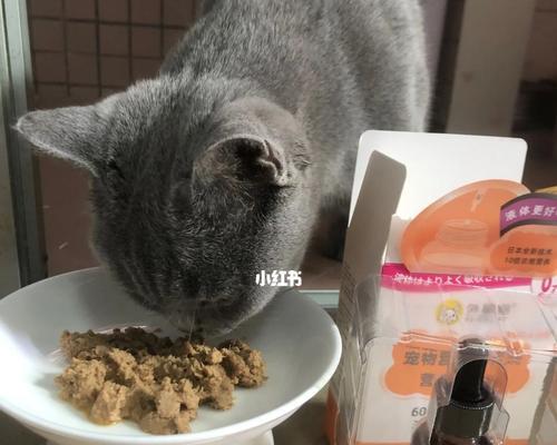 小猫换环境不拉屎怎么办？如何帮助宠物适应新环境？