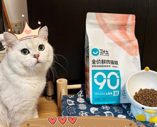 小猫什么时候可以开始吃猫粮？常见问题解答？