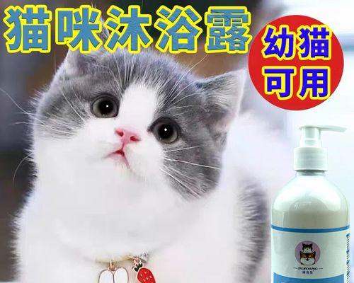 2个月大的猫咪洗澡方法是什么？需要注意哪些常见问题？