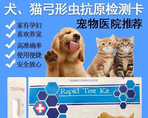 猫咪感染弓形虫的症状有哪些？如何检测？