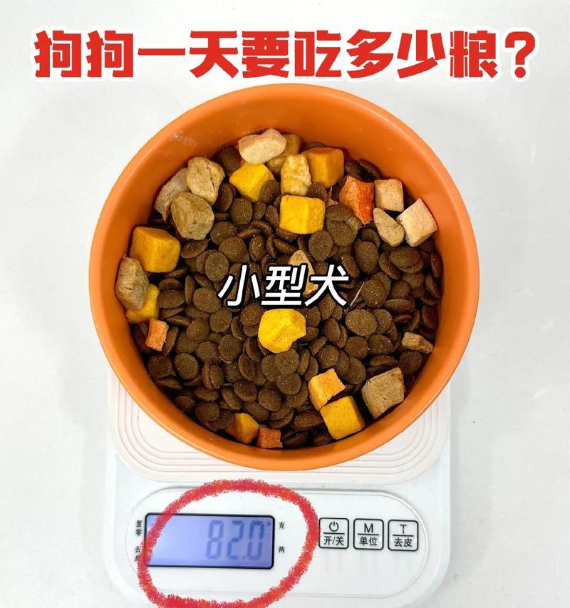 中型犬每月狗粮消耗量标准？