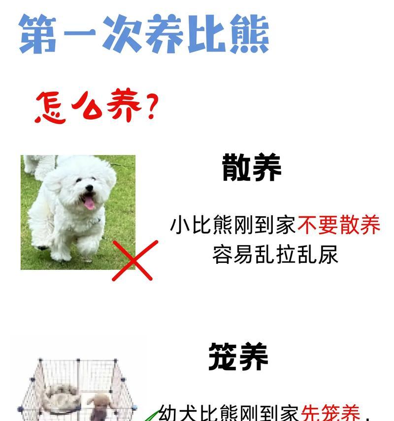 比熊犬新到家，散养还是笼养更合适？各自的利弊是什么？