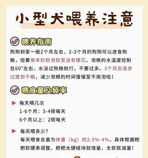 狗狗更适合吃玉米面还是狗粮？两者有何区别？