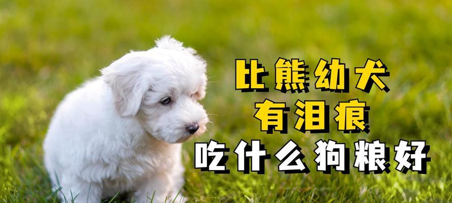 比熊幼犬换狗粮的正确方法是什么？何时需要更换狗粮？