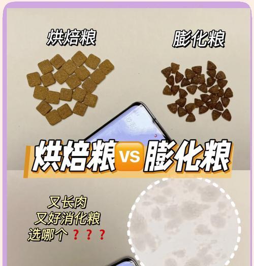 比熊每天吃狗粮是否适宜？