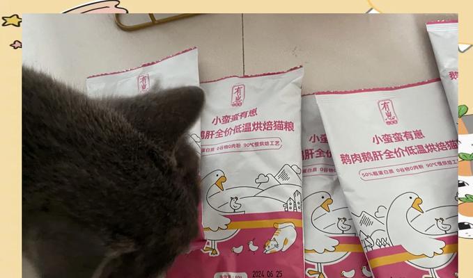 俏蛮腰猫粮适合美短加菲吗？