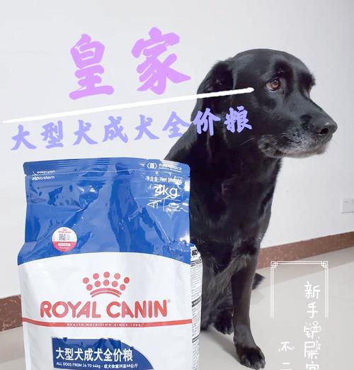 皇家中型犬狗粮15公斤的价格是多少？哪里可以买到性价比高的狗粮？