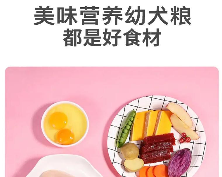 比熊更适合吃硬狗粮还是泡软的鸡粮？